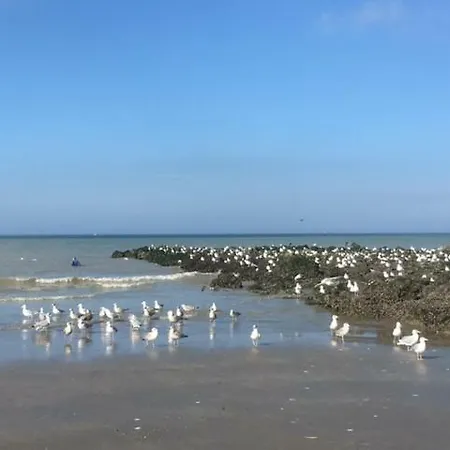 Zeedijk Westende *